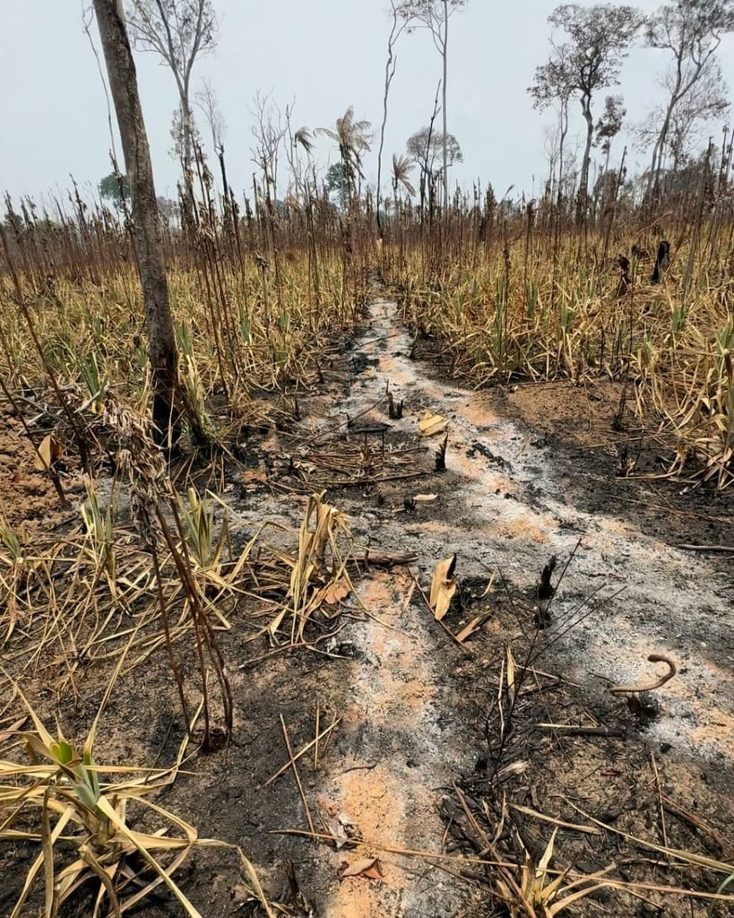 Idam orienta agricultores familiares sobre práticas de preparo da roça sem o uso de fogo