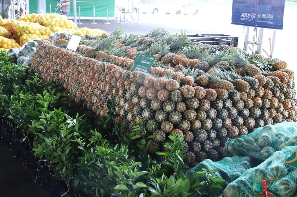 Sepror prorroga prazos de editais para 62 municípios e garante participação de produtores rurais após feriado